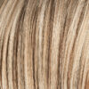 sandyblonde P