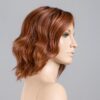 cinnamonbrown-rooted