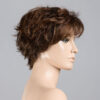 chocolate-rooted-